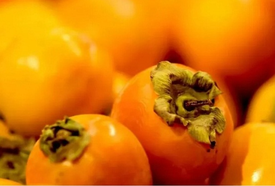 政策解读 | 海关总署关于进口塔吉克斯坦鲜食柿子植物检疫要求的公告